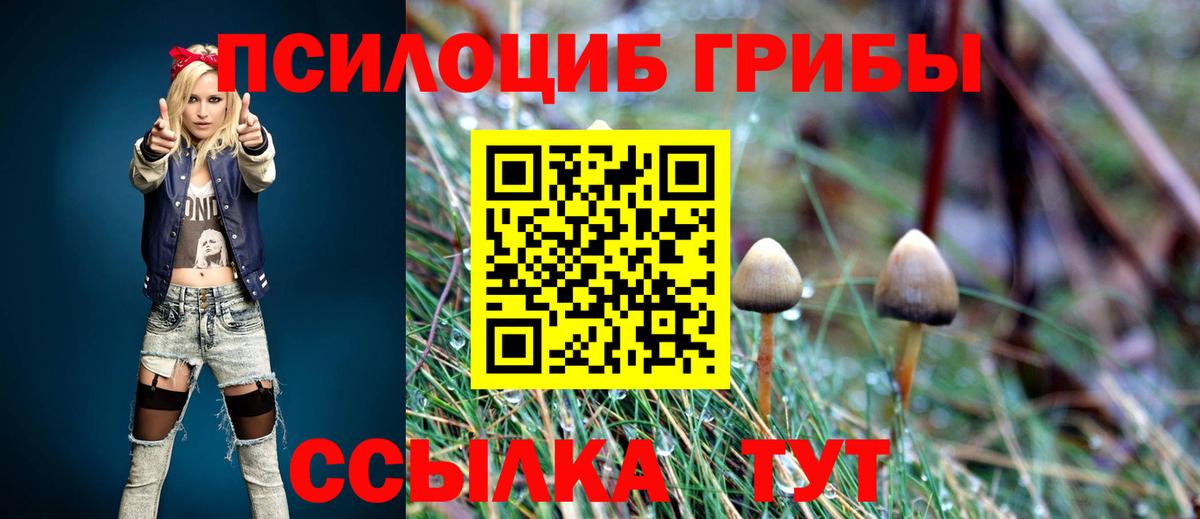 купить   Псилоцибиновые грибы ЛСД  Вход с VPN  Назрань  Галлюциногенные грибы ЛСД 