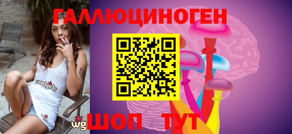 Псилоцибиновые грибы Cubensis Назрань